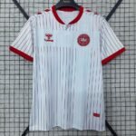 Denmark 2026 Away Jersey Fan Version