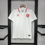 Denmark 2024 Away Jersey Fan Version