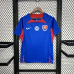 Slovakia 2024 Home Jersey Fan Version