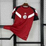Ajax 2024-25 Second Away Jersey