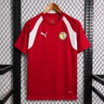 Senegal 2026 FIFA World Cup Red Training Jersey