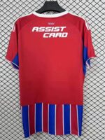 Colo-Colo 2025-26 Second Away Jersey Fan Version - Image 2