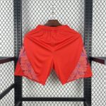 Universidad de Chile 2025-26 Away Shorts - Image 2