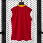 Galatasaray 2026-27 Home Training Vest - Image 2