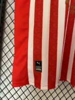 CD Guadalajara (Chivas) 2026-27 Red-White Special Edition Jersey - Image 3