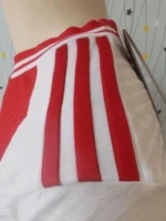 Ajax 2024-25 Home Jersey Player Version - Image 5