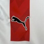PSV Eindhoven 2025-26 Home Jersey Fan Version - Image 5