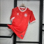 Denmark 2024 Home Jersey Fan Version - Image 6