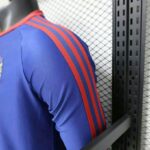 Newcastle United 2026-27 Retro Lifestyle Blue Long Sleeve Jersey Player Version - Image 6