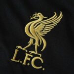 Liverpool 2025-26 Black Training Jersey - Image 6