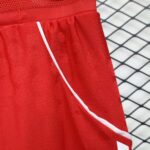 Bayern Munich 2025-26 Home Shorts Player Version - Image 6