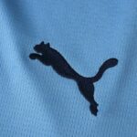 Manchester City 2025-26 Home Long Sleeve Jersey Fan Version - Image 6