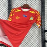DR Congo 2026 FIFA World Cup Second Away Jersey Fan Version - Image 6