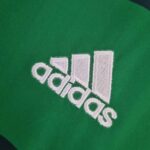 Palmeiras 2010-11 Home Retro Jersey - Image 7