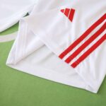 Benfica 2025-26 Home Shorts - Image 7