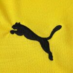 Borussia Dortmund 2025-26 Yellow Training Jersey - Image 8