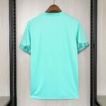 Palmeiras 2026-27 Green Training Jersey - Image 9