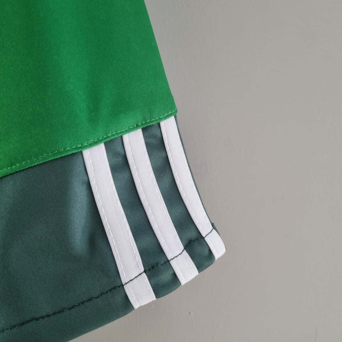 Palmeiras 2010-11 Home Retro Jersey - Image 9