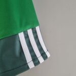 Palmeiras 2010-11 Home Retro Jersey - Image 9