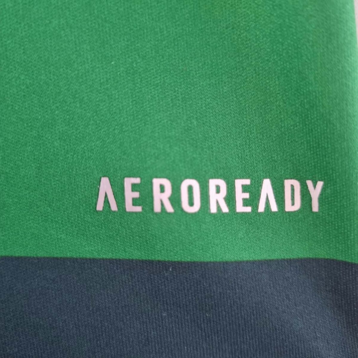 Palmeiras 2010-11 Home Retro Jersey - Image 10