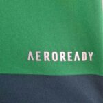Palmeiras 2010-11 Home Retro Jersey - Image 10