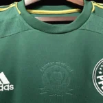 Palmeiras 2014-15 Home Retro Jersey - Image 11